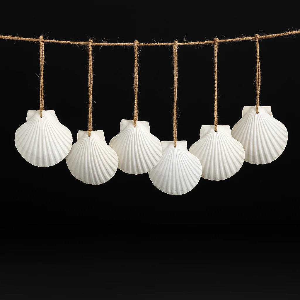 16PCS Natural Sea Shells Scallop Shells with Rope for Home Decor